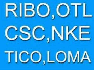 RIBO Online Exam Prep Course & OTL Online Course