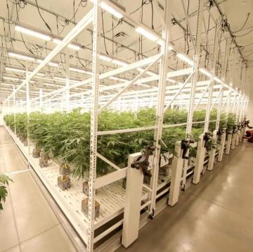 The Mobile Vertical Grow Rack System is designed to maximize cultivation efficiency and space utiliz