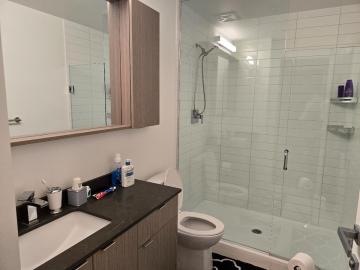 Pet Friendly Luxury Apt - Villsge of Bronte - Feb 1, 2026 $3,152.00