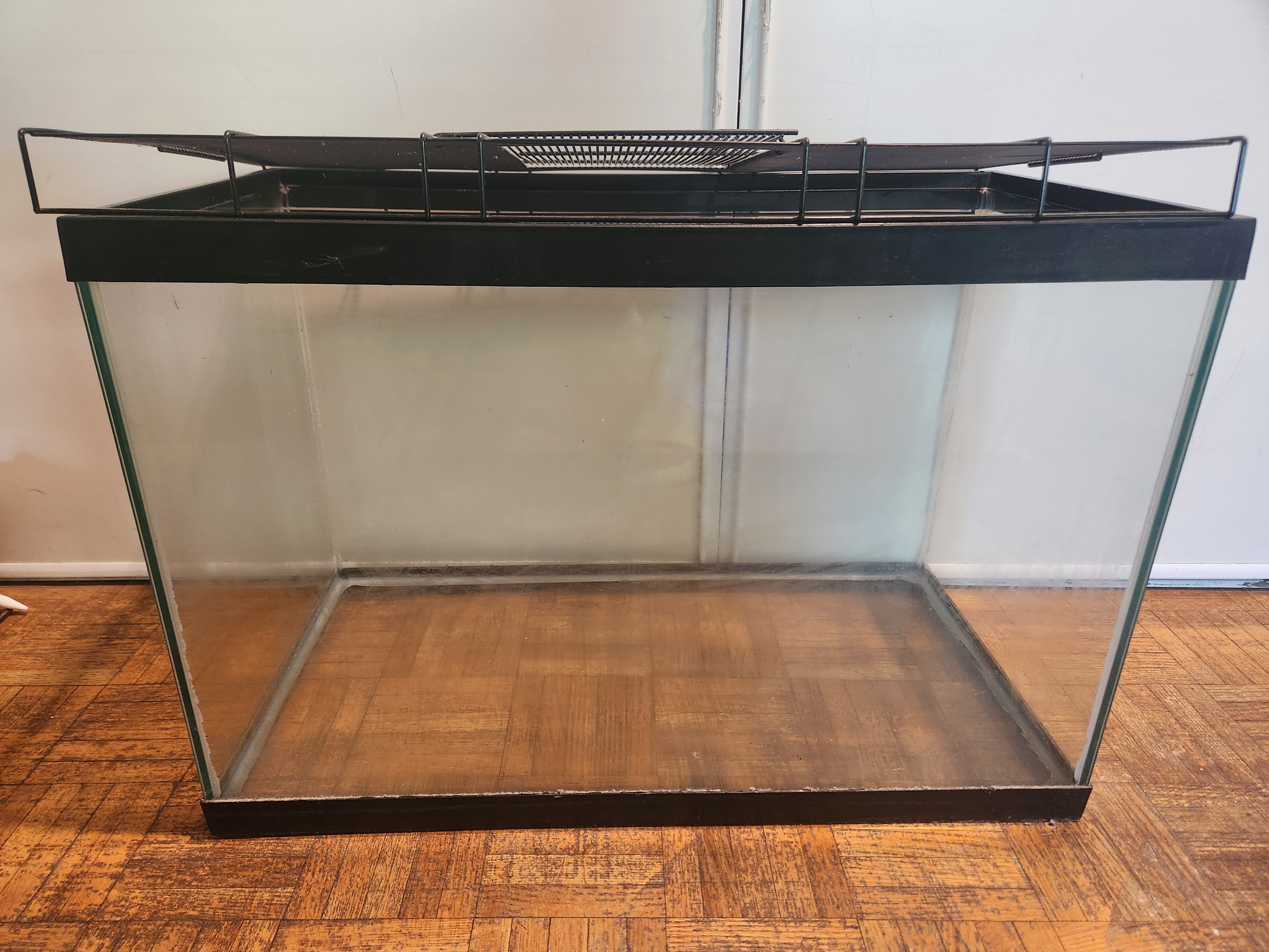 20 gallon fish tank