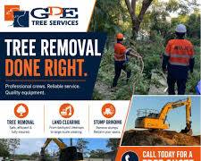 🌳 Tree Removal & Stump Removal — Scarborough & GTA