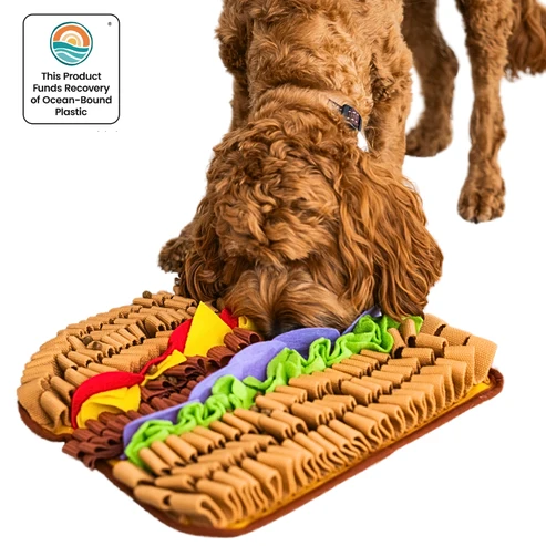 Want to Make Your Dog’s Playtime More Exciting with a Fun Burger Toy?