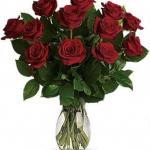CALGARY FLOWERS $25+ | FRESH ROSES TULIPS LILIES | SAME-DAY DELIVERY | MAY ROSE FLORIST 4032727155